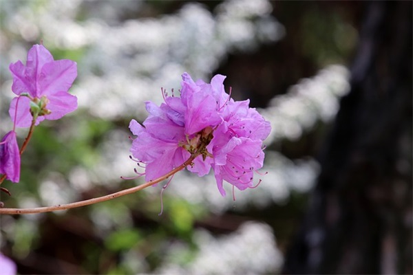 社团招新宣传文案范文(优选31篇)
