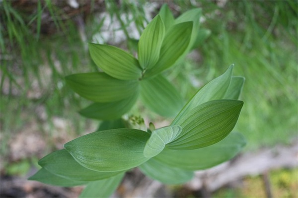 推介词范文(优选十五篇)