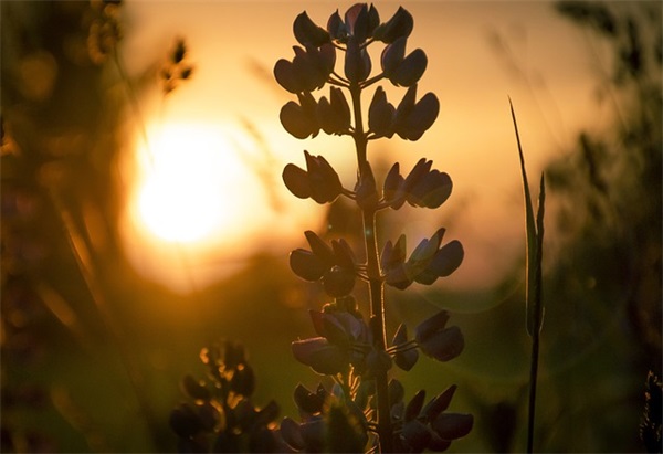 展厅展示设计说明范文(精选十一篇)