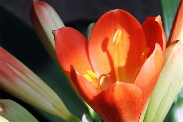 300字政务信息范文(通用十七篇)