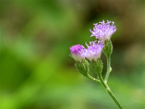 给刚出生的女宝宝取名,今年新生女婴姓名大全