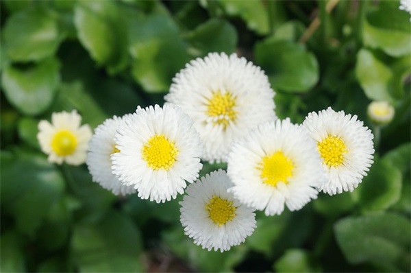 风地观卦预测经商经营解卦，六爻风地观卦占生意求财卦象启示