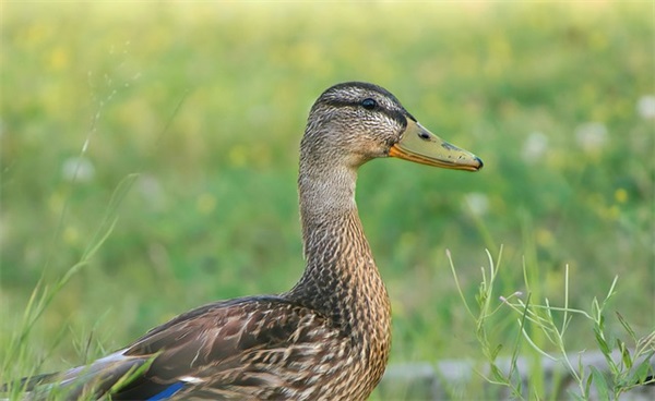 送男朋友啥生日礼物好，送男朋友有意义的礼物排行榜