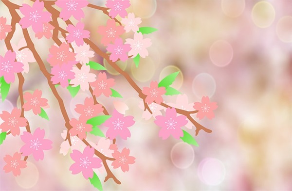 如何熬小米粥步骤