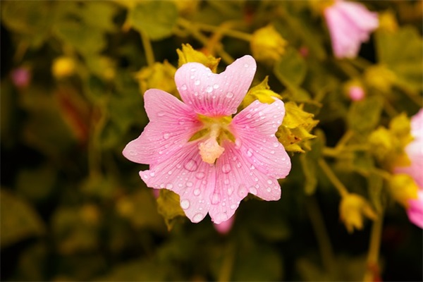 圣诞节礼物排行榜大全，圣诞节送女朋友什么礼物好