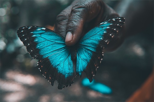每天口腔SPA，只需这款高颜值小香喷冲牙器
