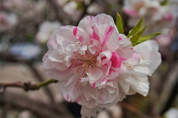 十大美颜相机软件排行榜，好用的美颜相机排名前十名