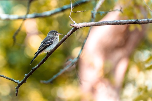 手机店取名大全吉祥很旺278个