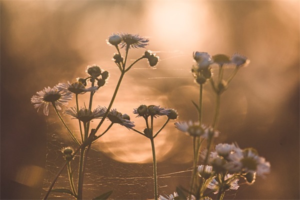 电热水器品牌排行榜前十名，电热水器哪个牌子好