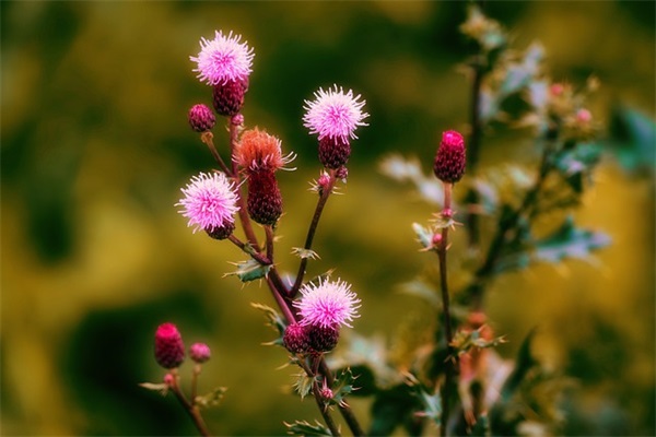 十大男士长衬衫品牌排行榜，男士衬衫品牌十大排名