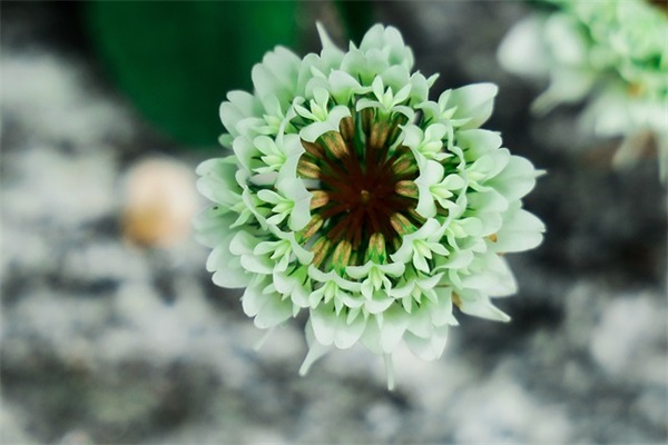 农村适合的创业项目有哪些，农村创业的好项目推荐