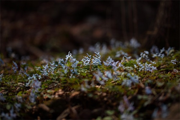 十大鸡肋家电排行榜：无叶风扇，胶囊咖啡机上榜