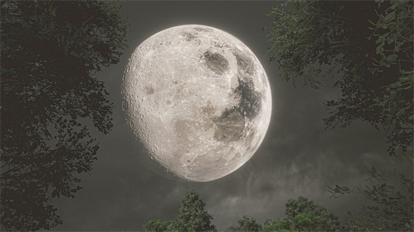 家居用品店铺起名360个