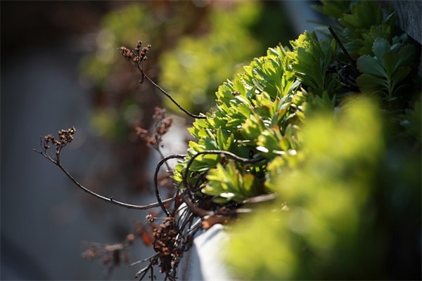 世界新七大奇迹，新七大奇迹是什么