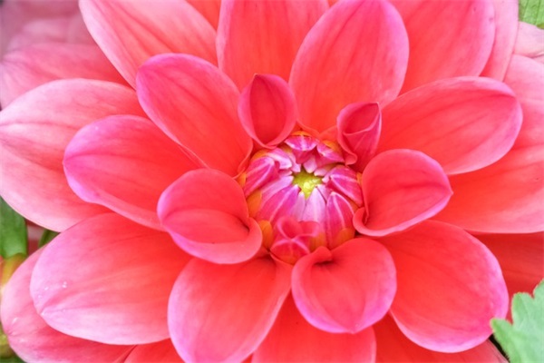 白裤子上的污渍怎么洗，白裤子上的污渍清洗方法