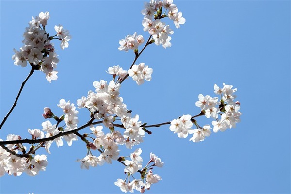 借钱app哪个利息最低，盘点APP网贷利息最低排行榜