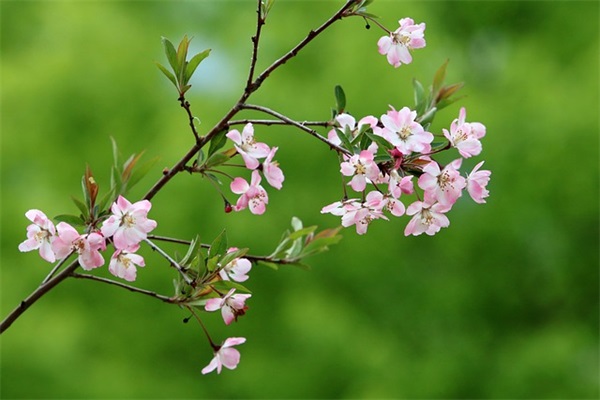 鼓励孩子加油的暖心话