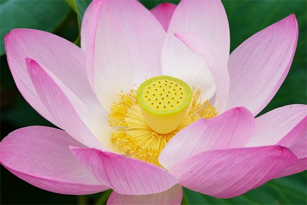 十大睫毛膏排行榜10强平价，睫毛膏哪个牌子好用推荐