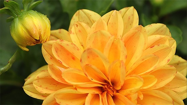 十大电子表品牌排行榜，电子手表品牌排行榜前十名