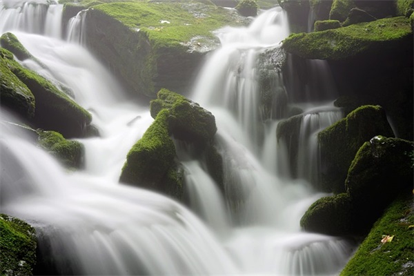 塑胶地板十大品牌排名推荐，塑胶地板十大知名品牌排行榜