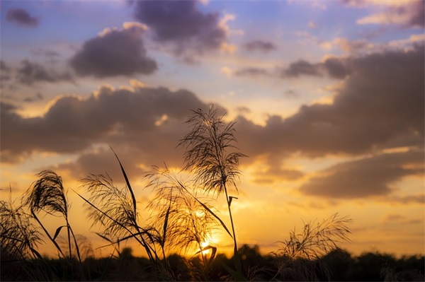 实测莱薇尔睫毛增长液，一起做个睫毛精