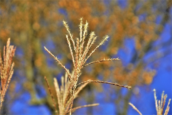 日用品店起名大全精选300个