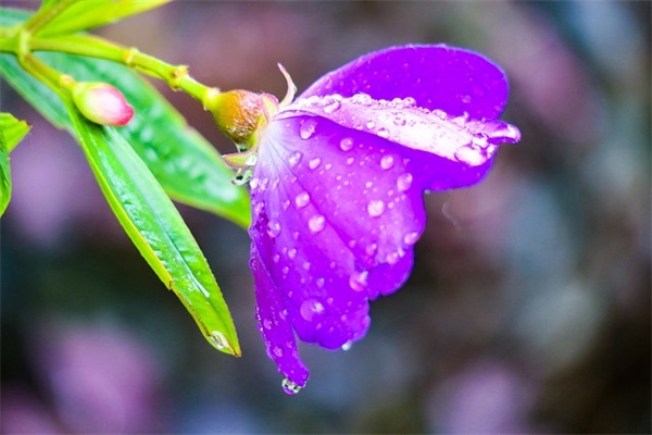 y字母开头的女生英文名（女生英文名小清新y开头）