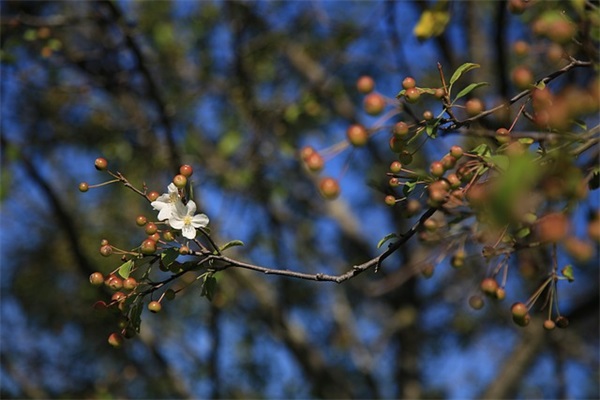 4个字母的有内涵英文名(四个字母单词寓意好英文名) 4个字母的有内涵英文名(四个字母单词寓意好英文名)
