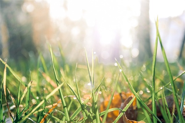 好听顺口的男孩英文名（男宝宝洋气英文小名）
