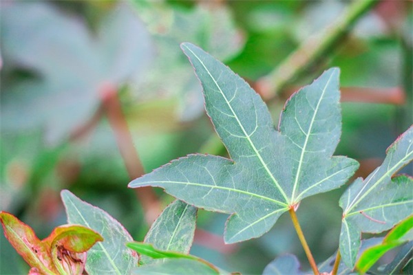相遇即是缘分的句子汇总(58句)
