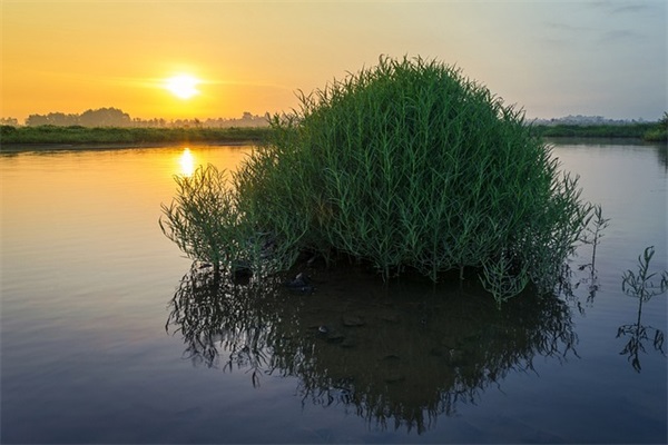 岳不群怎么死的(为什么很多人认为岳不群是伪君子、大反派、坏到极致了?) 岳不群怎么死的(为什么很多人认为岳不群是伪君子、大反派、坏到极致了?)