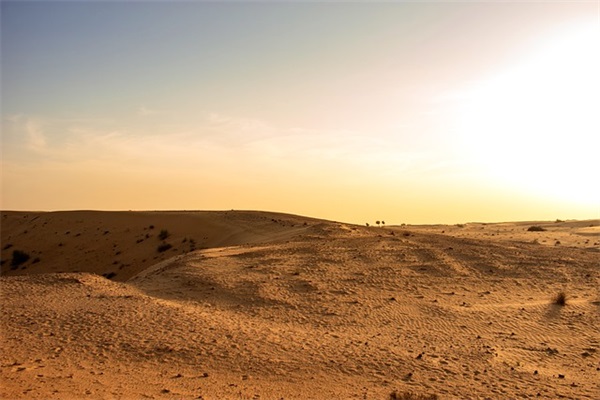 李世民的儿女列表(历史上李承乾为什么要谋反) 李世民的儿女列表(历史上李承乾为什么要谋反)