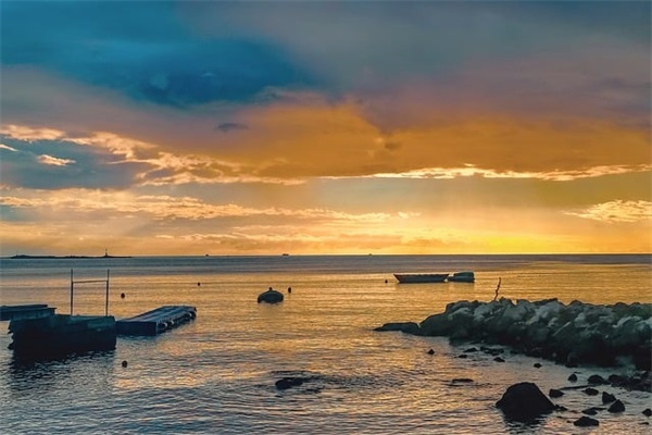 为什么燕子每年都要去南方过冬？南方在哪里？